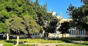 tabacalera