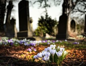 Cementerio Inglés de Málaga